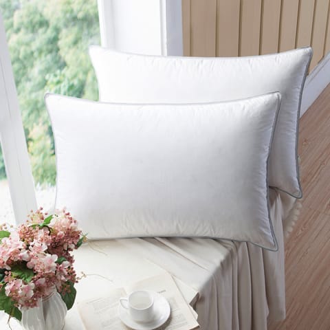 Anti Allergic 1Kg Filling Pillows 2-Piece King White