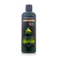 Shampoo Botanix Detox 500Ml