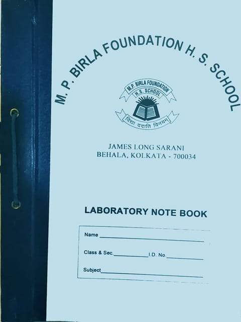 MP Birla School - Project File & Sheets