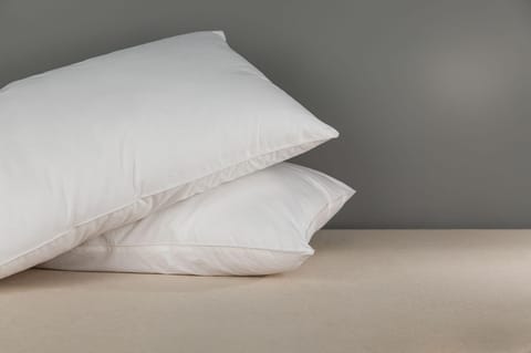 Wallace Sacks Comfort 100% Egyptian Cotton 200 TC Single Bed Flat Sheet 