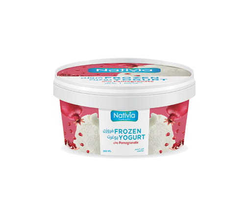 Frozen Yogurt POMEGRANATE 500ml
