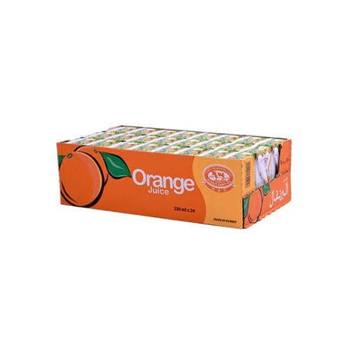 Nectar Orange Juice 250 ml * 24 Pieces
