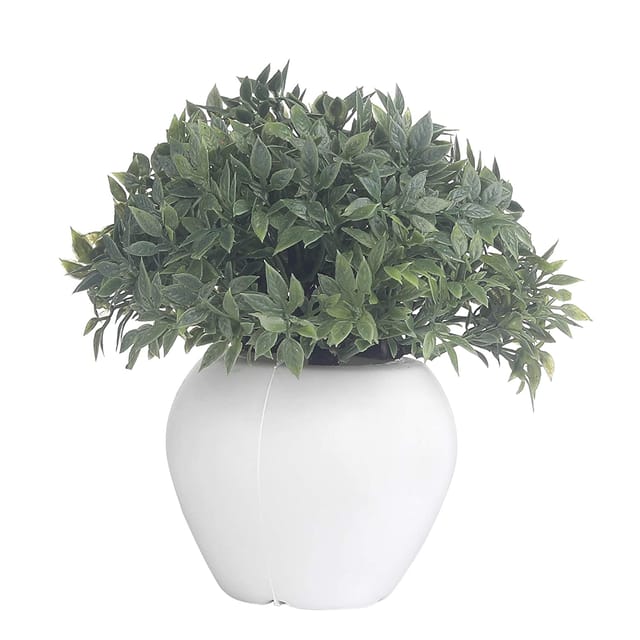 Foliyaj Artificial Mini Bush with Small Green Leaves|Bonsai Tree|Artificial Flower|with Pot|Home D�cor for Living Room Home Office Shop|House|Gift|Decoration