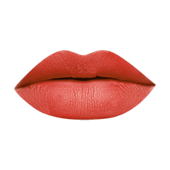 SERY Capture ‘D’ Matte Lasting Lip Color ML14 Peppy Plum