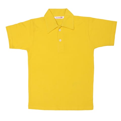 Plain PT T-Shirt With Collar (Std. 1st to 10th)