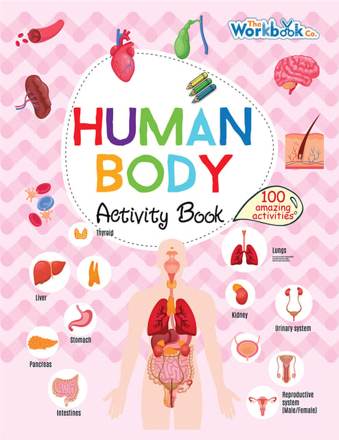 Human Body Activity Book Paperback