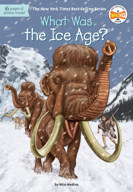 WHAT WAS THE ICE AGE?