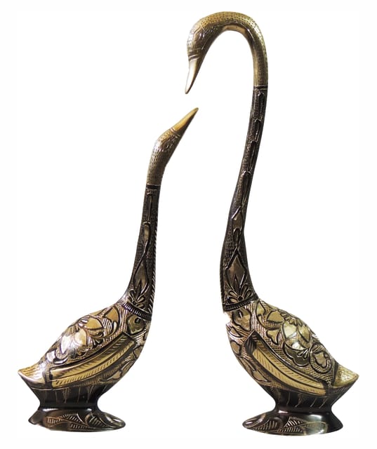 Brass Showpiece Duck Pair Statue With Color Finish- 12.5*2*14.5 inch (AN186 C)