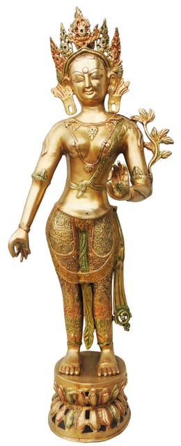 Brass Showpiece Tara Devi Colour Statue - 13*8*33 Inch (BS825 A)