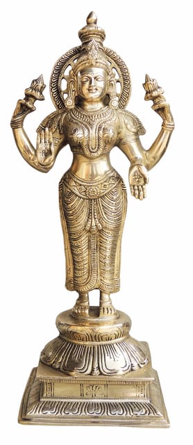 Laxmi Ji Statue With Handwork Brass Antique Finish Decorative Showpiece - 7*5.8*17 inch  (BS985 L)