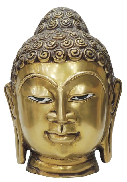 Brass Showpiece Buddha Head Statue - 8.5*8.5*11.5 Inch (BS791 B)