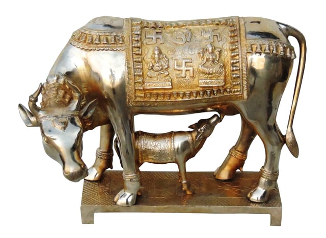 Brass Showpiece Cow With Calf Statue - 17.5*10.5*13 Inch (BS805 B)