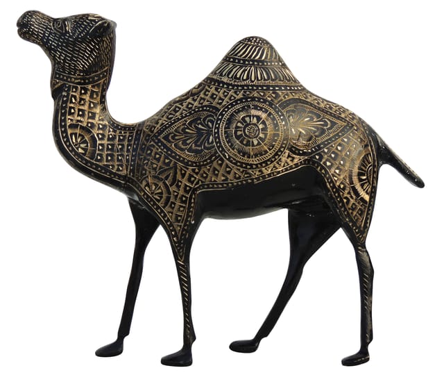 Brass Showpiece Camel Statue - 12*3.5*10.5 Inch (AN059 A)