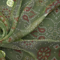 Organza Floral Bandhani Print Embroidery - Olive Green - KCC165028
