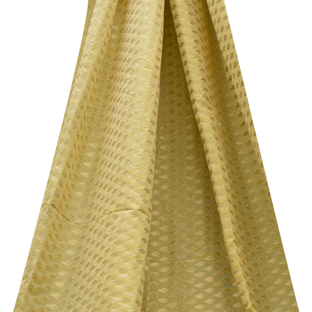 Pauri Brocade with Golden Work - Pale Yellow - KCC173958