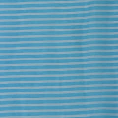 Sky Blue Stripe Print Organza Fabric