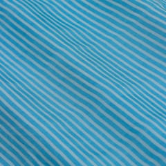Sky Blue Stripe Print Organza Fabric