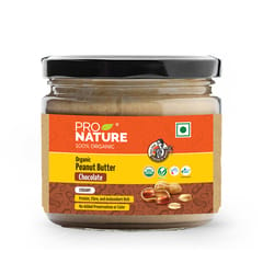 Organic Chocolate Peanut Butter 300g