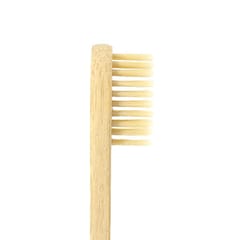Bamboo Toothbrush (Adults)