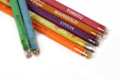 4 Plantable Pens & 4 Plantable Pencils [ pack of 8 in a Tube]