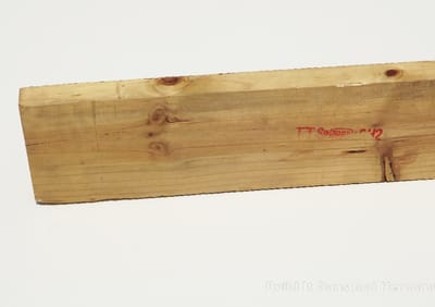 Pine Timber - 38 x 228 x 4800mm