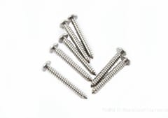 Screw Self Tapper Stainless Steel P/H 10mm x 38mm (10)