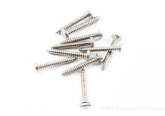 Screw Self Tapper Stainless Steel P/H 8mm x 30mm (10)