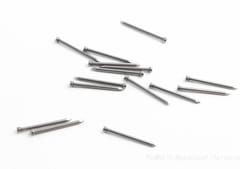 Nails Panel Pin 32mm 250g
