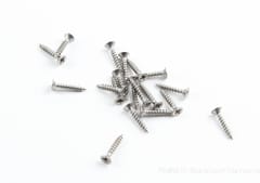 Chipboard Screw S/Steel 6mm x 20mm (20)