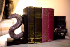 The Anant Bookend By Karu