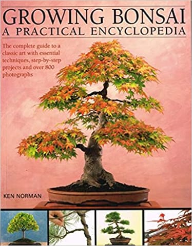 Growing Bonsai A Practical Encyclopedia