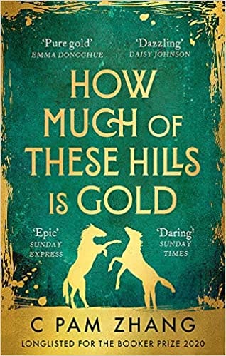 How Much of These Hills is Gold: Longlisted for the Booker Prize 2020