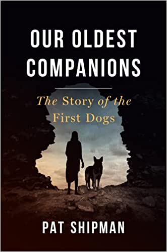 Our Oldest Companions The Story Of The First Dogs