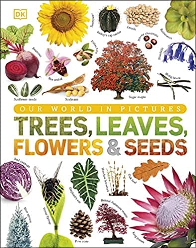 Our World In Pictures Trees Leaves Flowers & Seeds A Visual Encyclopedia Of The Plant Kingdom