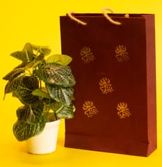 Gift Bag / Medium/ Pack Of 5