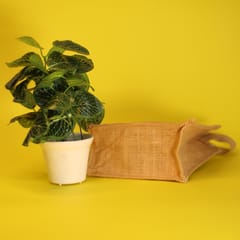 Jute Lunch Bag | Reusable & Eco-friendly