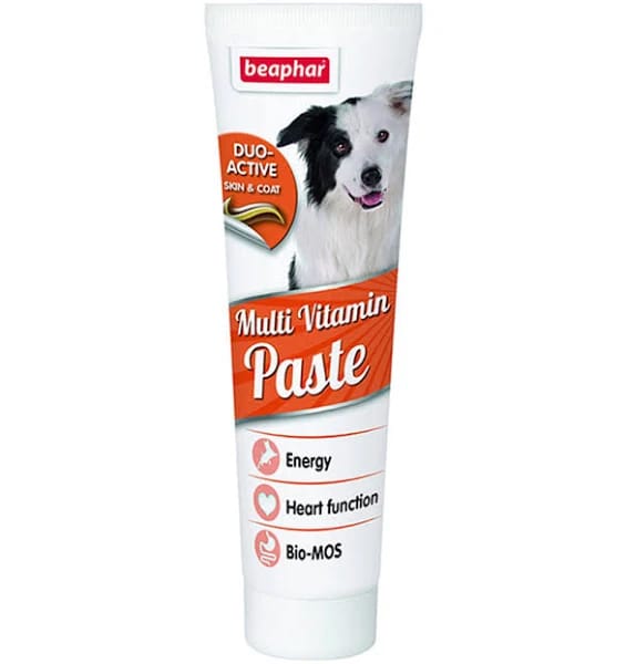 Beaphar Duo Active Paste for Dogs 100g
