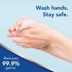 Safeguard Liquid Hand Soap Pink 450ml