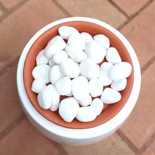 Decorative White  Big Polished Pebbles - 1 kg