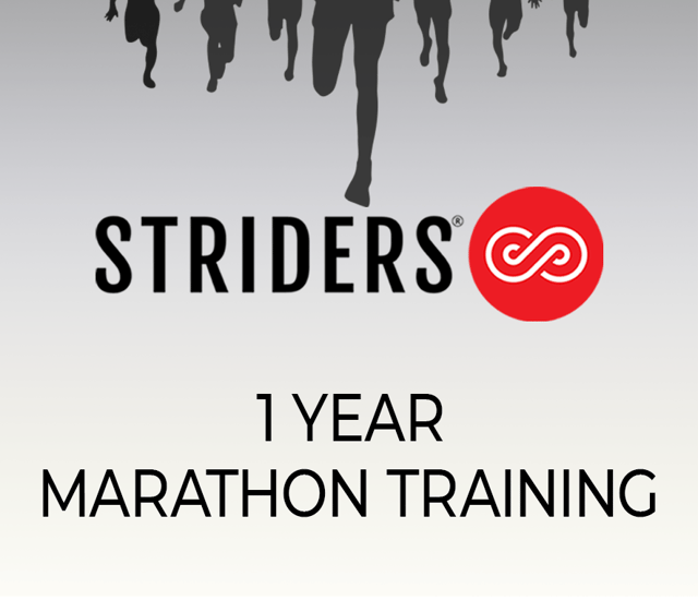 Striders - Marathon training (1 Year)